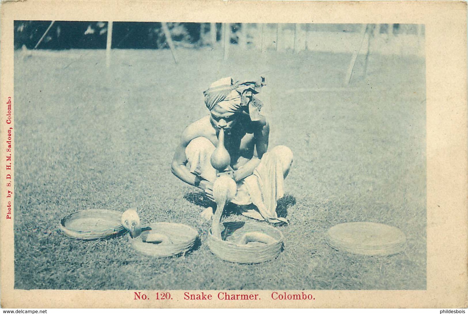 ASIE  SRI LANKA  COLOMBO  Snake Charmer - Sri Lanka (Ceylon)