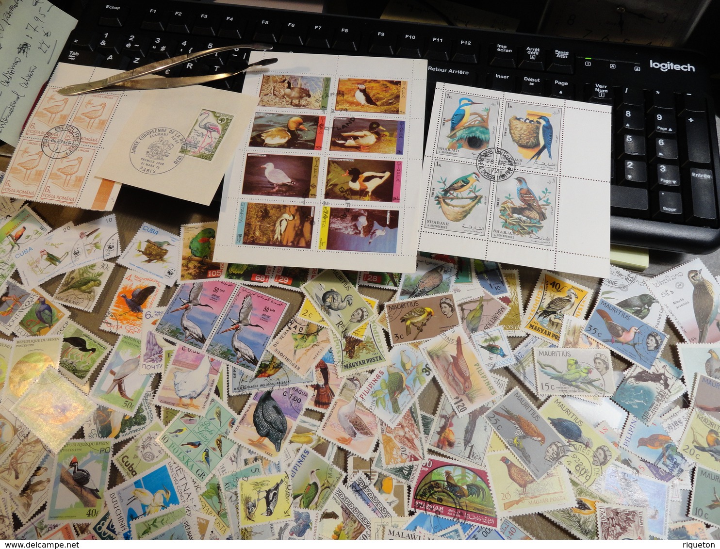 Gros Lot De 620 Grammes De Milliers De Timbres Thématiques Oiseaux De Tous Pays - 30 Scans - Des Multiples - B/TB - - Mezclas (min 1000 Sellos)