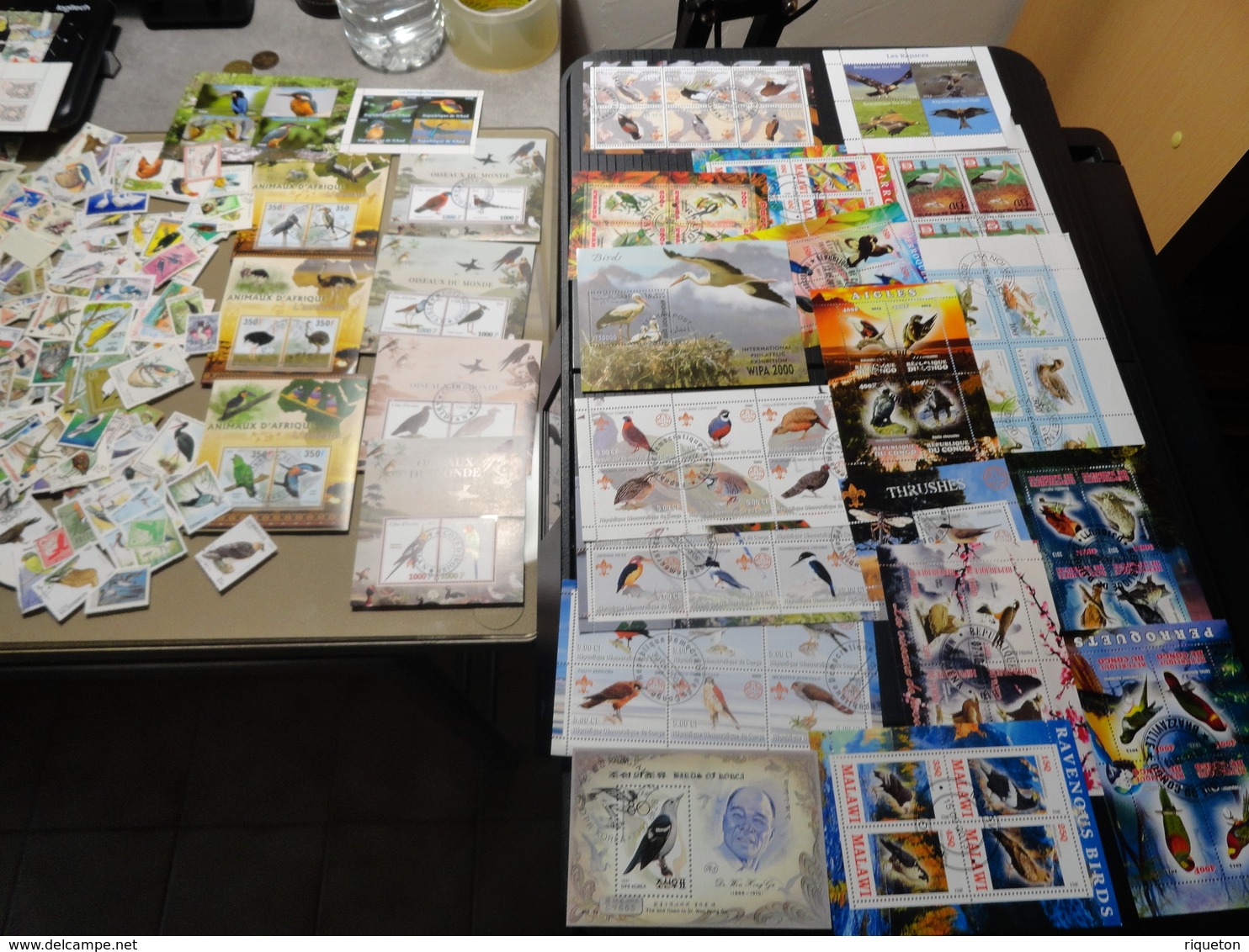 Gros lot de 620 grammes de milliers de timbres thématiques Oiseaux de tous pays - 30 scans - Des multiples - B/TB -