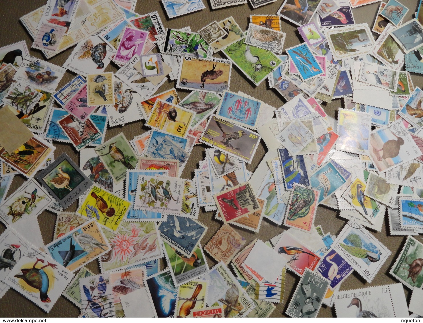 Gros lot de 620 grammes de milliers de timbres thématiques Oiseaux de tous pays - 30 scans - Des multiples - B/TB -