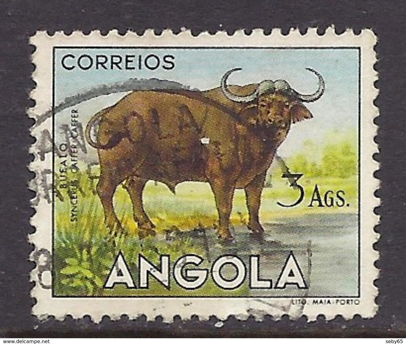 Angola - Fauna, Animals, Bufalo - Used - Angola