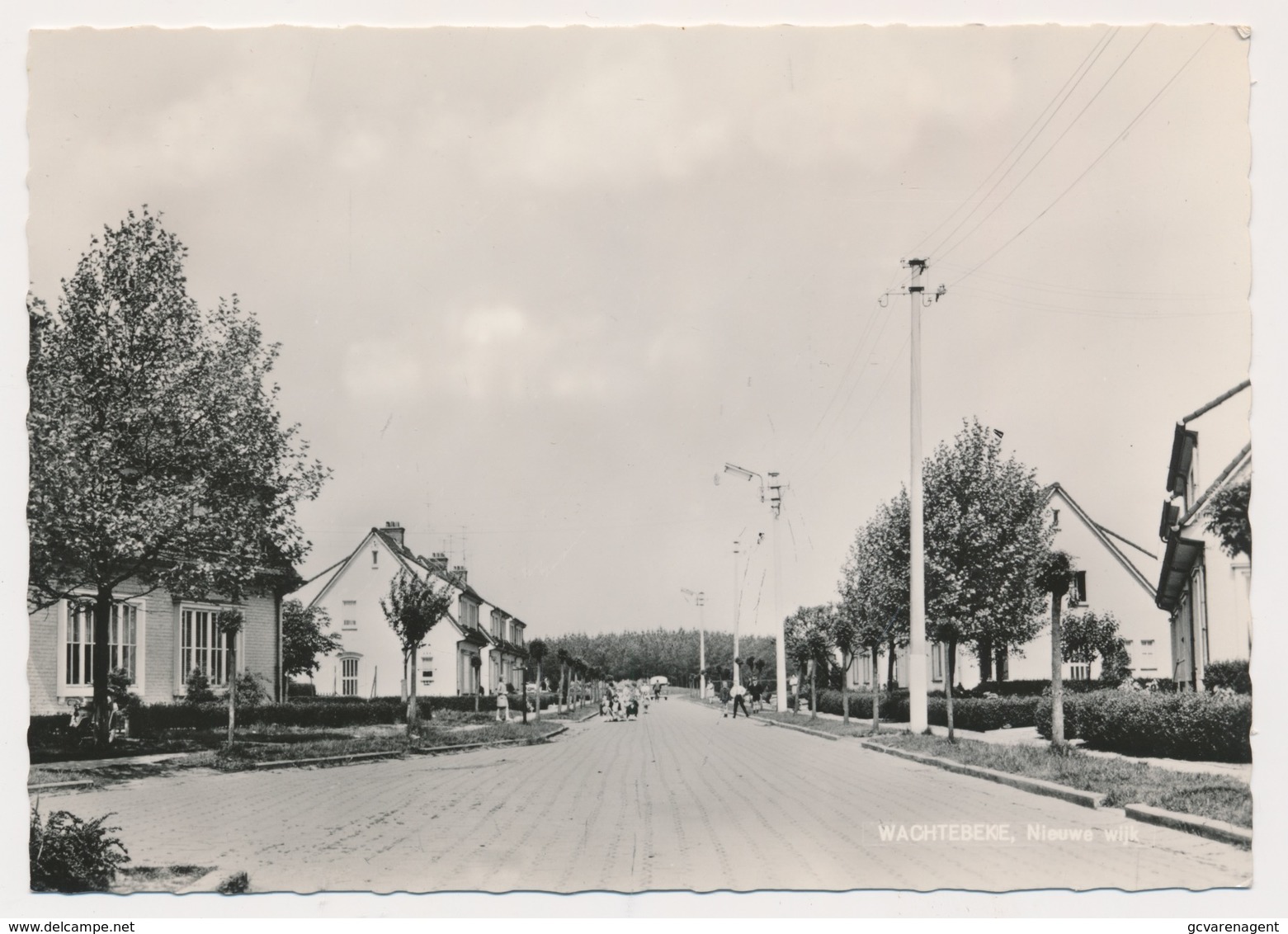 WACHTEBEKE   NIEUWE WIJK    FOTOKAART - Wachtebeke