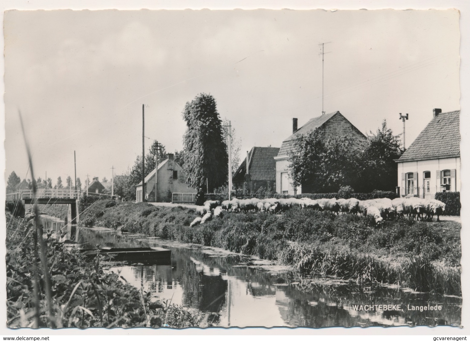 WACHTEBEKE   LANGELEDE   FOTOKAART - Wachtebeke