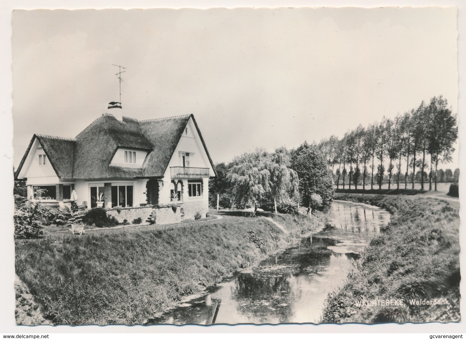 WACHTEBEKE   WALDERDONK   FOTOKAART - Wachtebeke