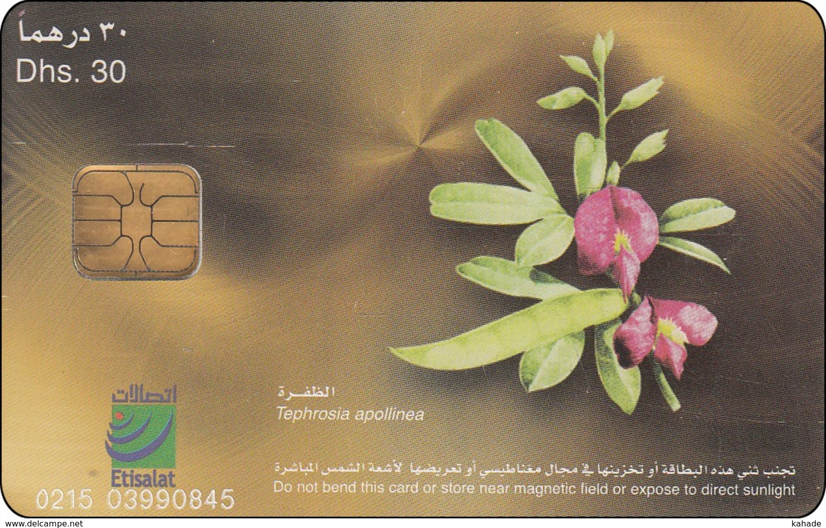 UAE Chip Phonecard Blumen Flower Tephrosia - Verenigde Arabische Emiraten