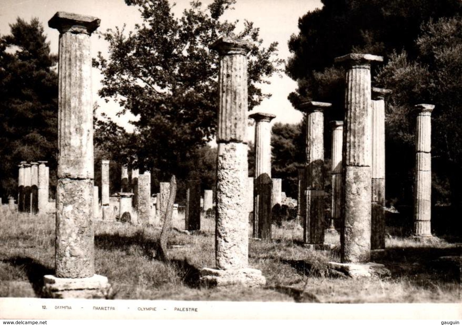 CPSM - OLYMPIE - TEMPLE … Vestige … Lot De 3 Vues - Grèce