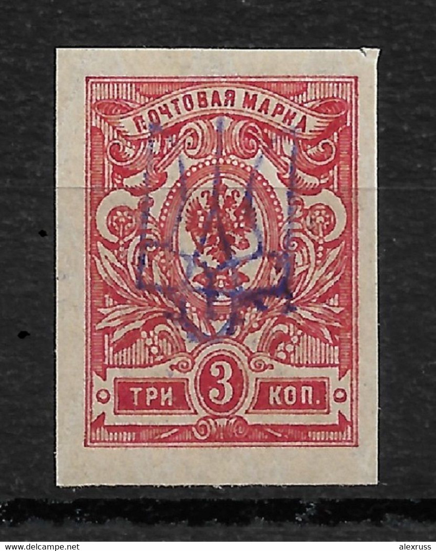 Russia/Ukraine 1918 Civil War, Kiev Type-2e Vio Ink Trident 3k,VF MNH** (LTSK) - Ukraine & Ukraine Occidentale