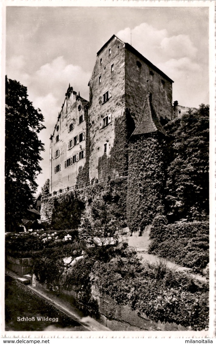 Schloß Wildegg (254) - Wildegg