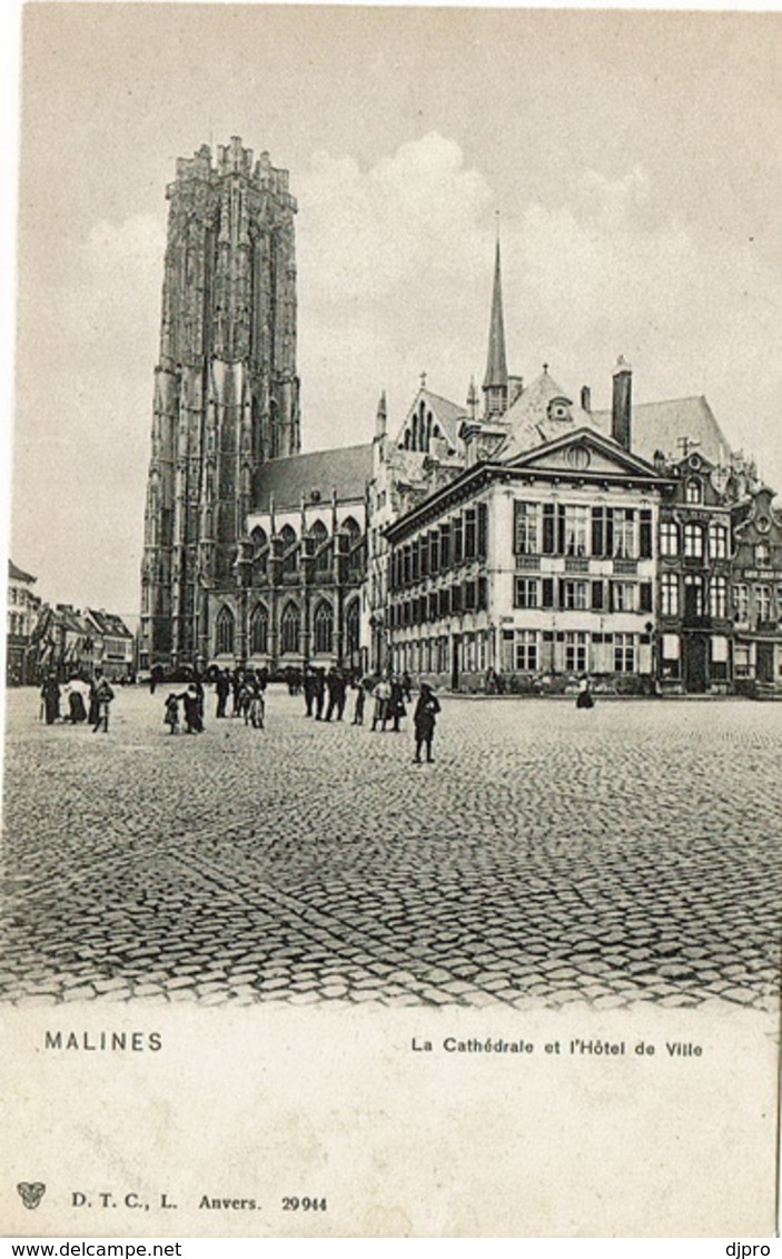Mechelen  Malines  La Cathedrale Et L'hotel De Ville  DTC - Mechelen