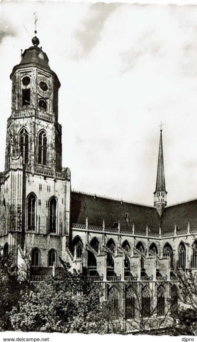 Lier St Gummarus Kerk - Lier