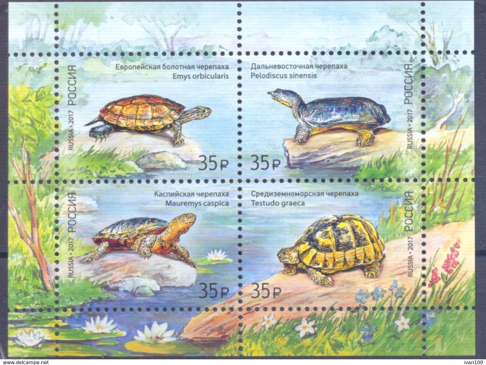 2017. Russia, Turtles, S/s, Mint/** - Unused Stamps