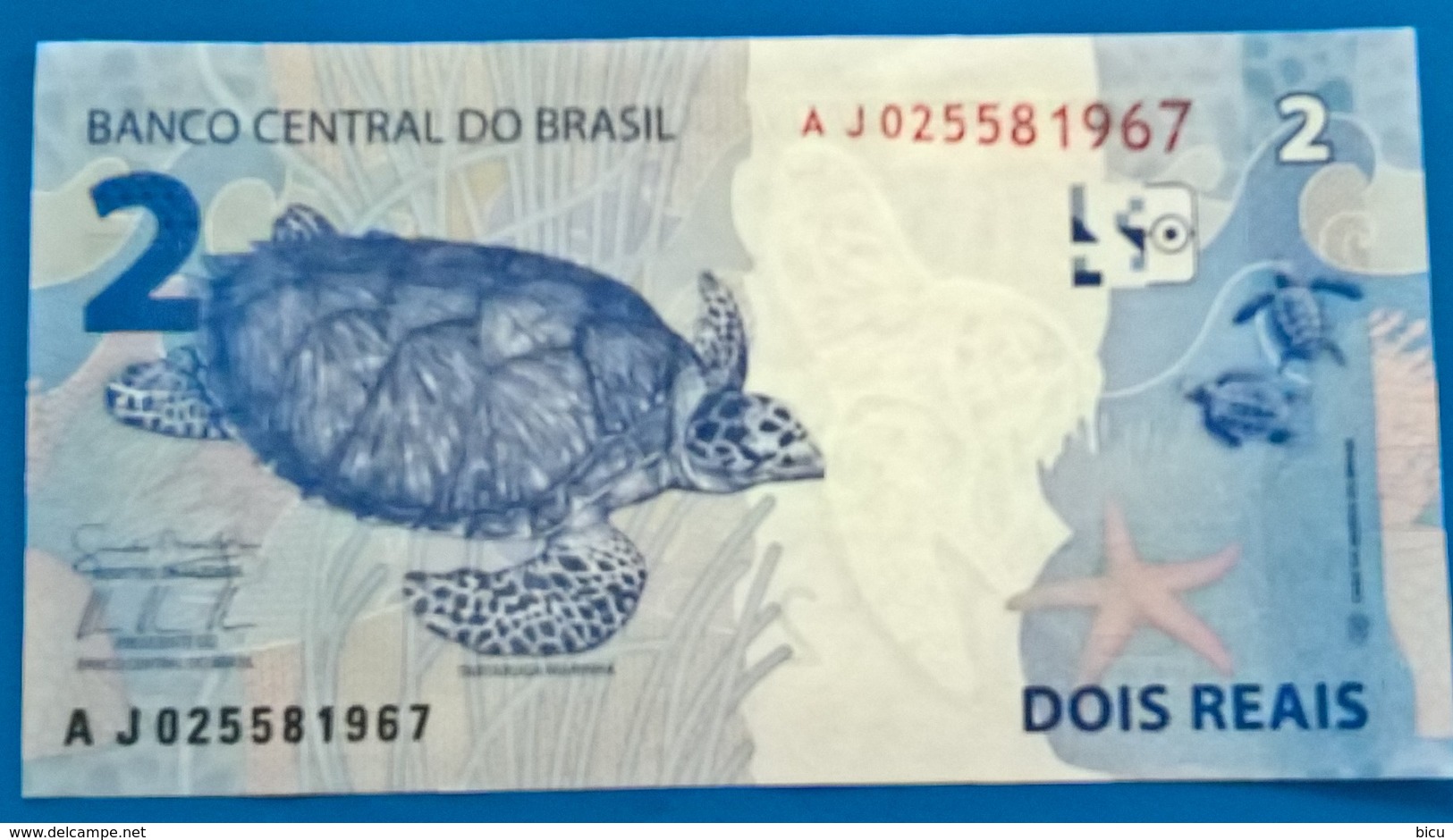 BRAZIL Banknote 2010-Cédula Flor De Estampa R$ 2,00 Reais   UNC Turtle - Brazil