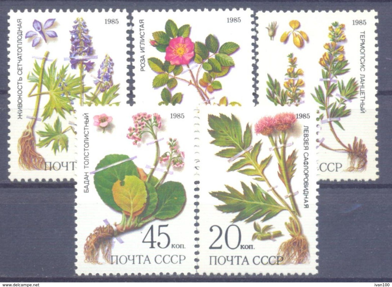 1985. USSR/Russia, Plants Of Siberia, 5v,  Mint/** - Neufs