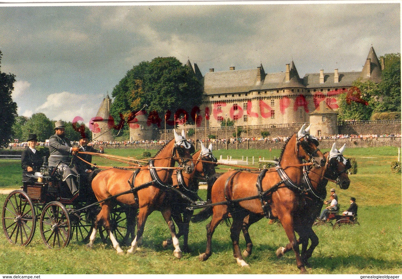 19- POMPADOUR ARNAC- DEMONSTRATION ATTELAGE - CORREZE - Arnac Pompadour