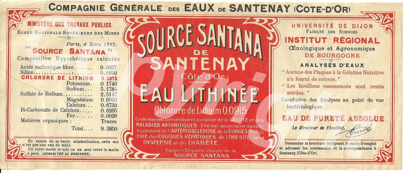 Ancienne étiquette Publicitaire Grand Format De L'eau Minérale De La Source Santana à Santenay-les-Bains En Côte-d'Or - Autres & Non Classés