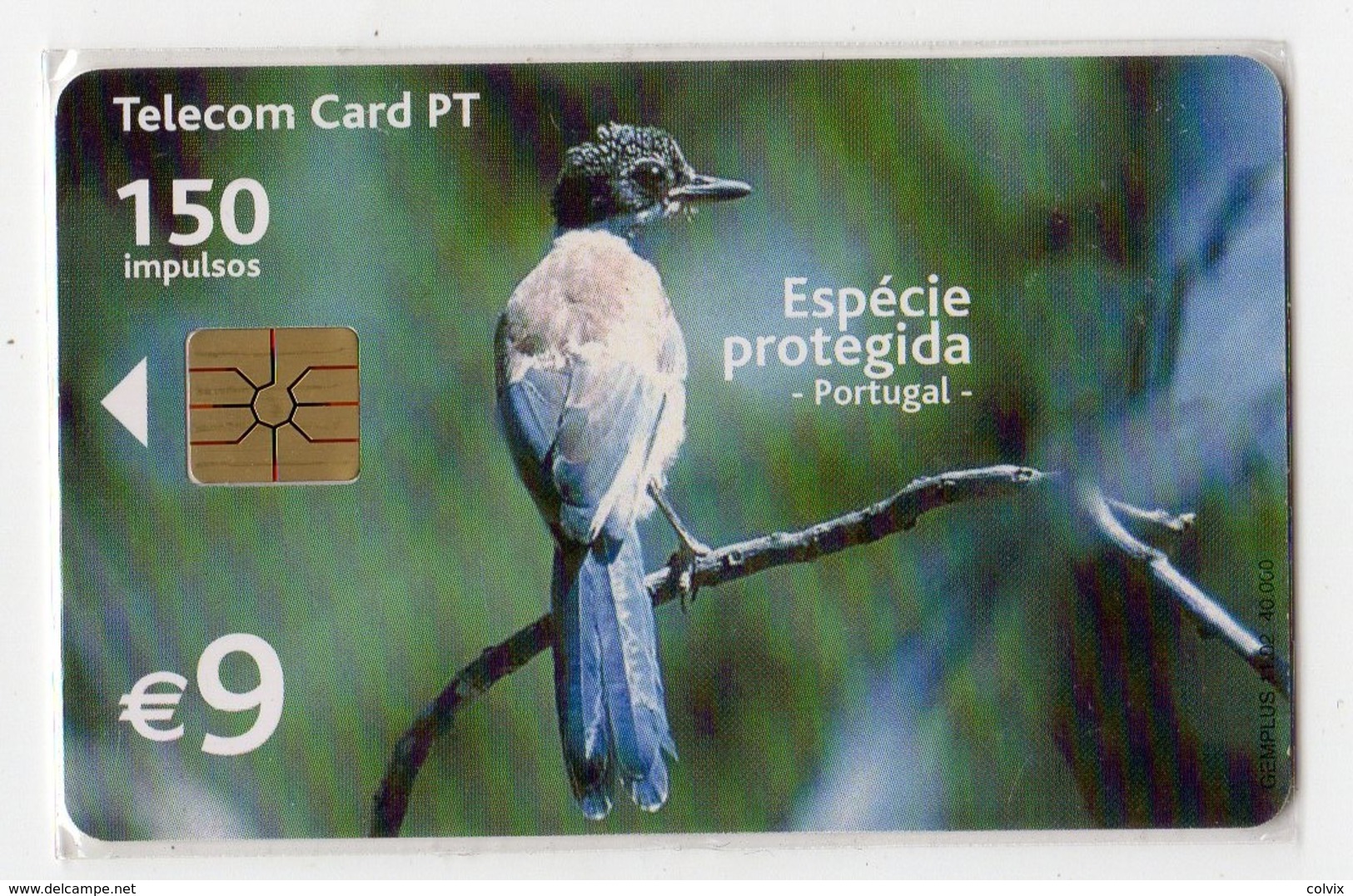 PORTUGAL TELECARTE OISEAU PEGA AZUL - Passereaux