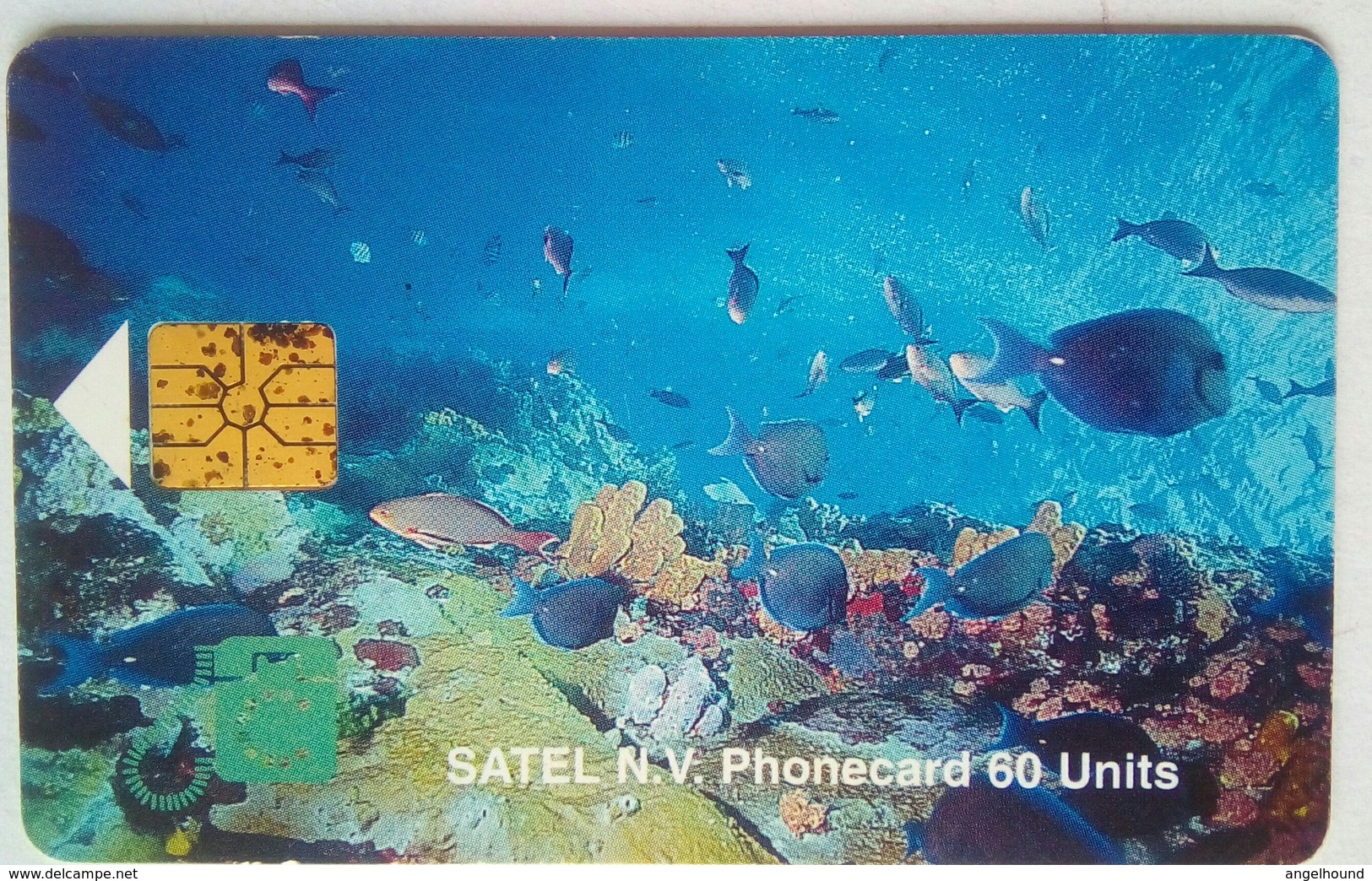 60 Units SATEL Marine Life - Antilles (Netherlands)