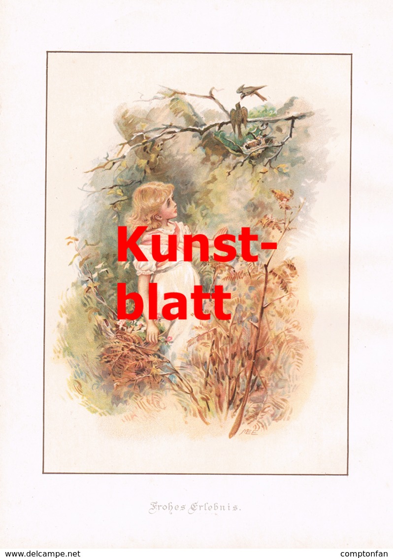 1852 Frances Brundage Mädchen Vögel Kunstblatt 1898 !! - Stampe & Incisioni