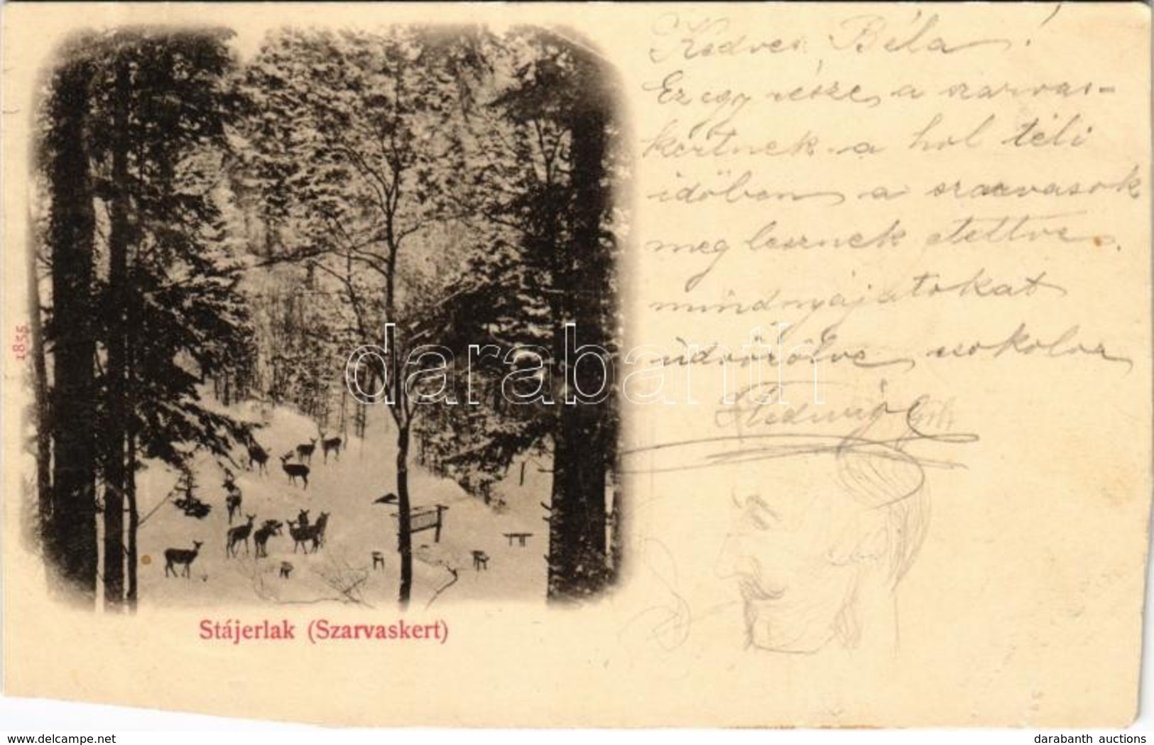 T4 1900 Stájerlak, Stájerlakanina, Steierdorf (Anina); Szarvas Kert Télen / Deer Park In Winter (vágott / Cut) - Non Classificati