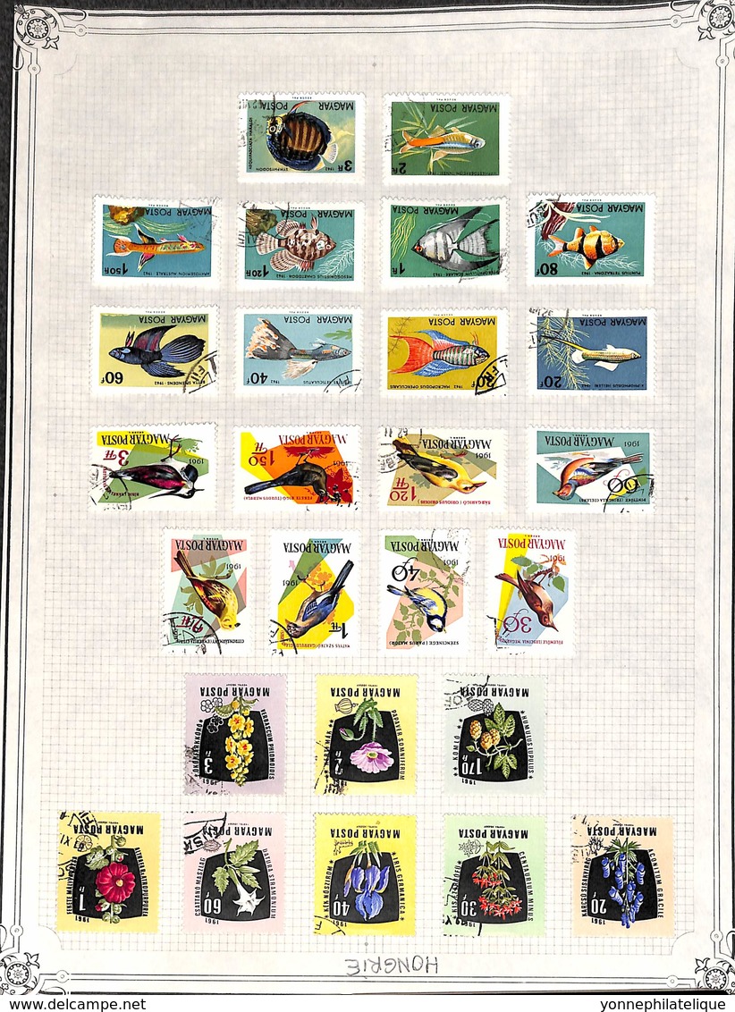 HONGRIE - THEMATIQUE - Fleurs,poissons,oiseaux,champignons,sports,ponts,animaux,papillons,avions,spatial - Sin Clasificación