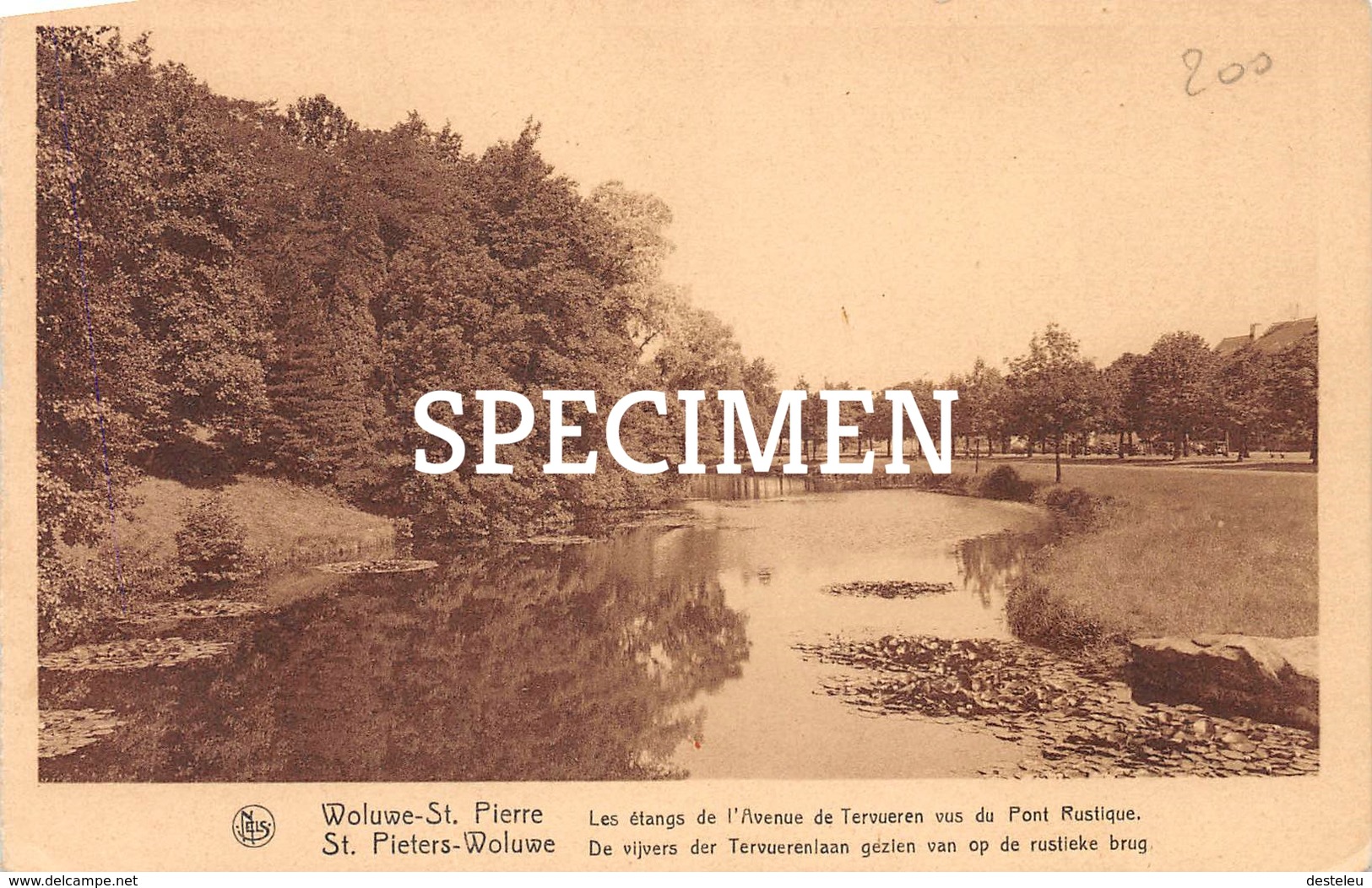 Les étangs De L'Avenue De Tervueren Vus Du Pont Rustique - Woluwe-Saint-Pierre - Sint-Pieters-Woluwe - Woluwe-St-Pierre - St-Pieters-Woluwe