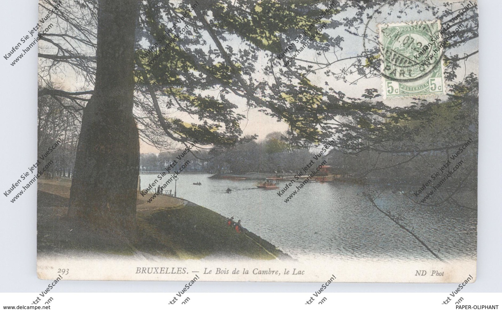 B 1000 BRUSSEL, Ter Kamerenbos / Le Bois De La Cambre, Le Lac, 1907 - Forêts, Parcs, Jardins