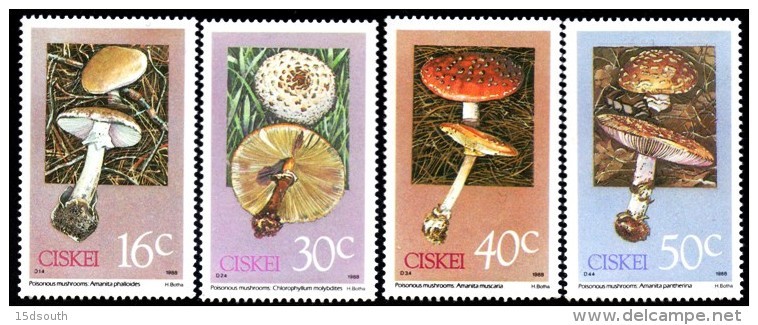 Ciskei - 1988 Poisonous Fungi Set (**) # SG 141-144 , Mi 145-148 - Ciskei