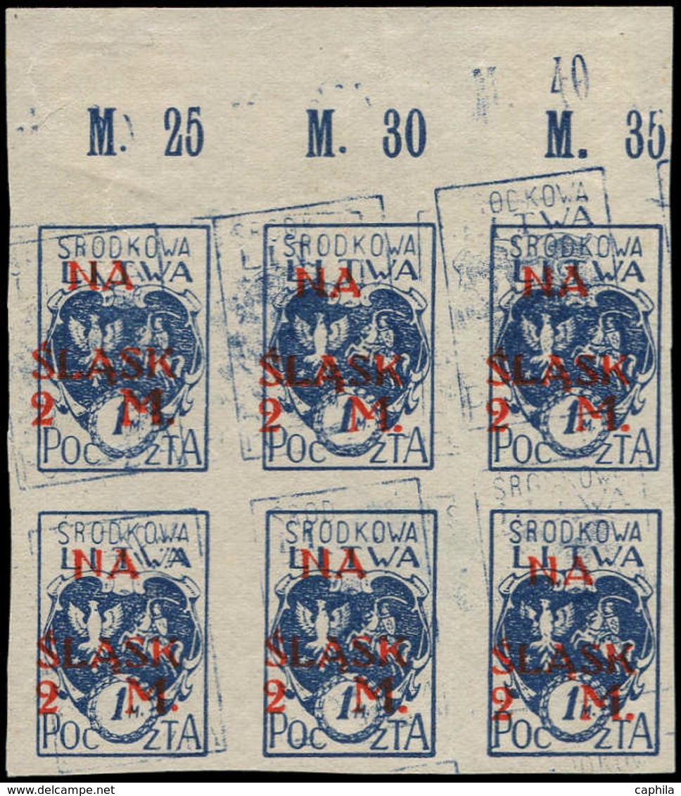 * LITUANIE POLONAISE - Poste - 38, Bloc De 6, Double Impression Du Bleu: Plébiscite - Litouwen