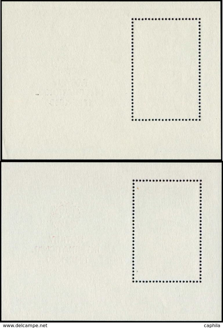 ** GUYANE. - Blocs Feuillets - Michel 80, 2 Blocs Surcharge Noire Ou Rouge (non émise): Rotary, Vostok 6 - Guyana (1966-...)