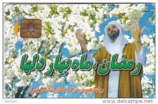 Iran, IN-Telecom-chip 017, Welcoming Spring, 2 Scans      Chip : TH02 - Iran