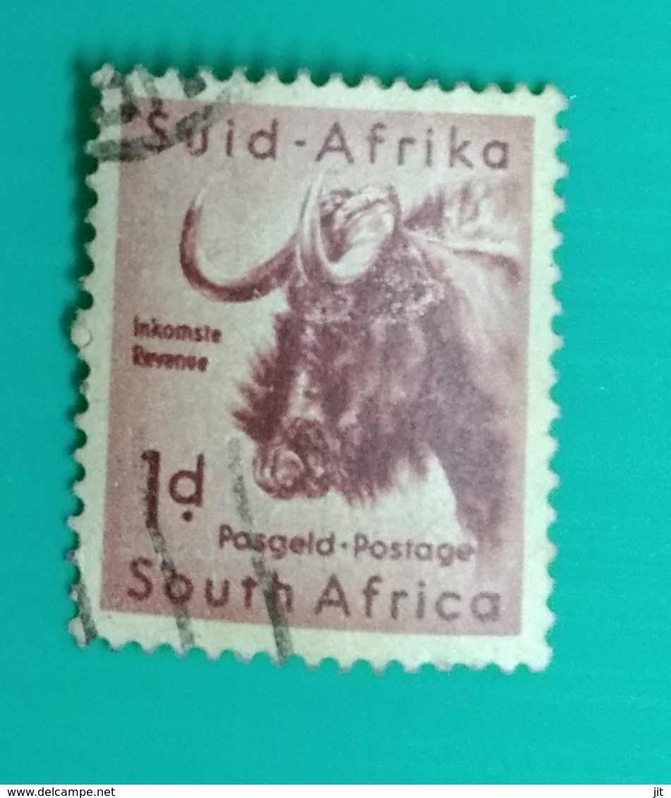 142. SOUTH AFRICA (1d) USED STAMP WILD ANIMALS - Oblitérés