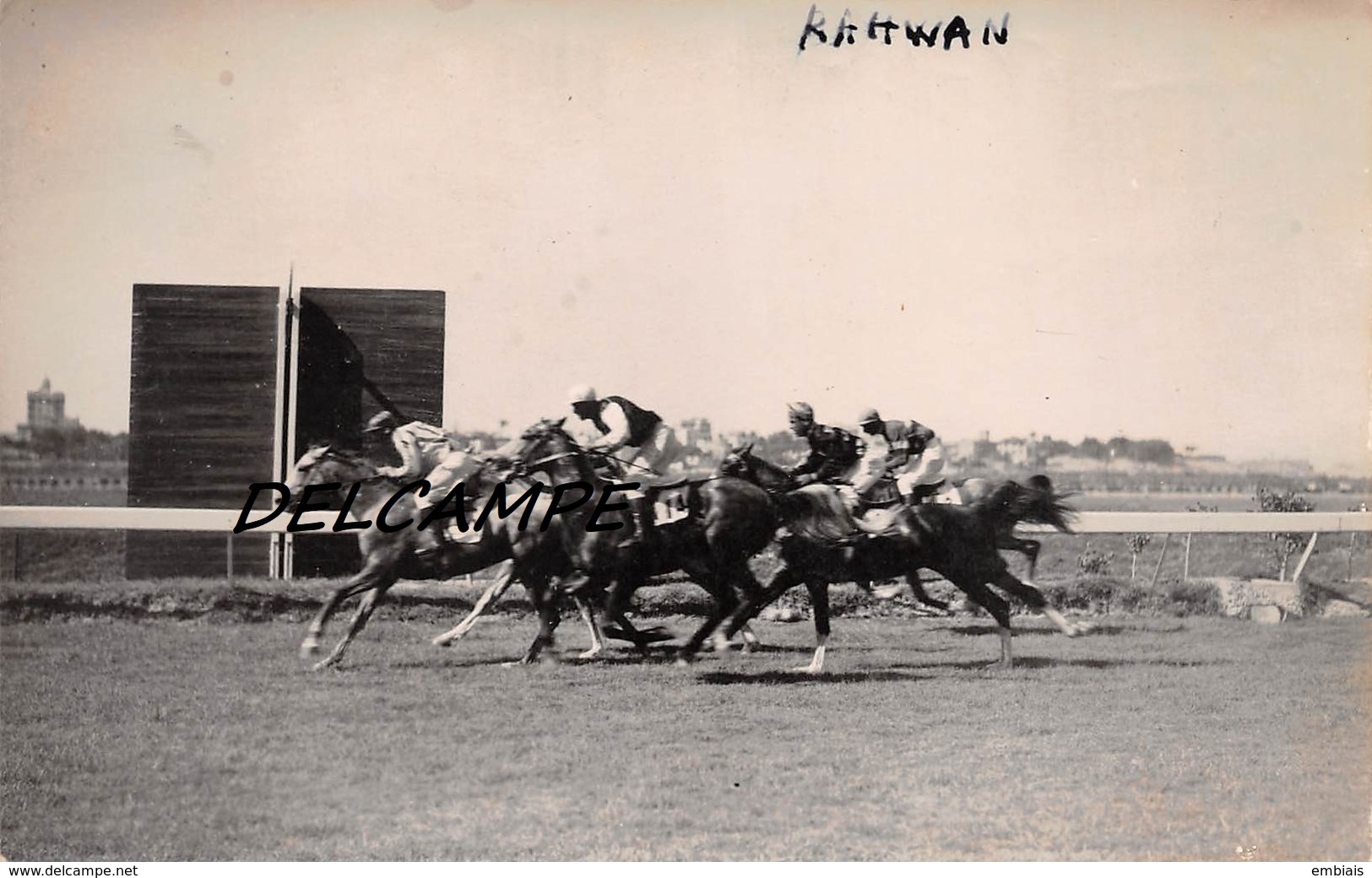 EGYPTE- ALEXANDRIE-Champ De Courses L'Arrivée Au Poteau De RAHWAN.Carte Photo Zachary's Press Agency 1935 - Hípica