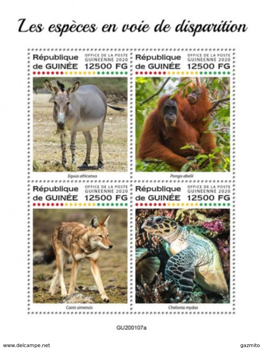 Guinea 2020, Animals In Danger, Gorilla, Wolf, Turtle, 4val In BF - Chimpancés