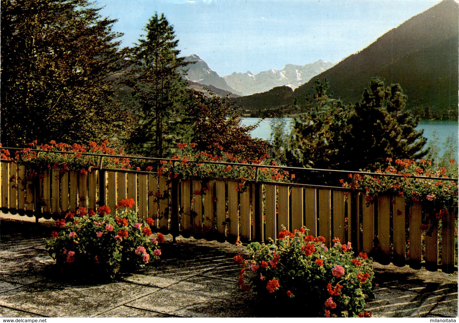 Blick Vom Kurhaus Ländli, Oberägeri Auf Den Aegerisee Und Die Alpen (20361) * 22. 8. 1980 - Oberägeri