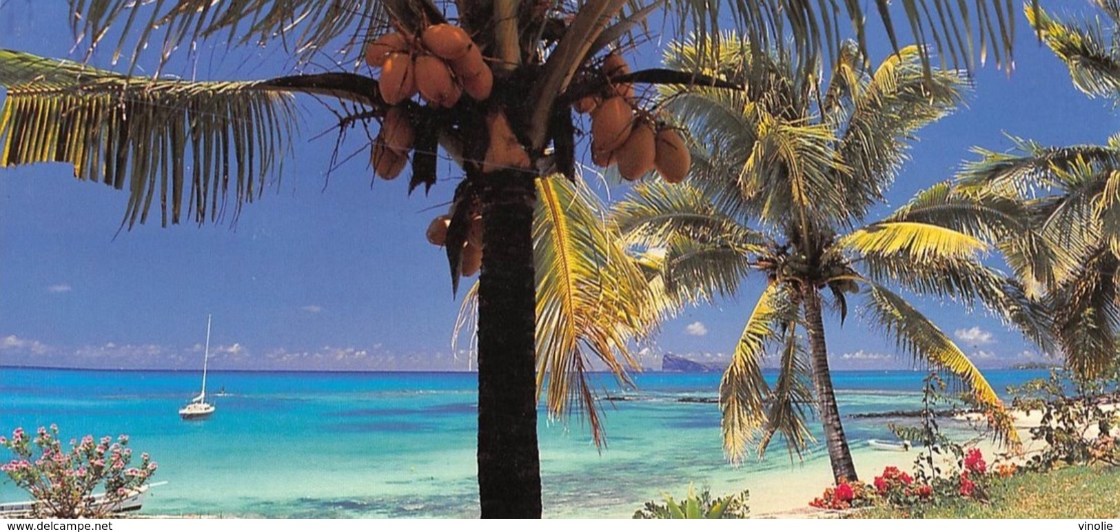 G.F.20-067 : CARTE PANORAMIQUE ILE MAURICE. MAURITUS. GRAND-BAIE. LE COIN DE MIRE. - Mauricio