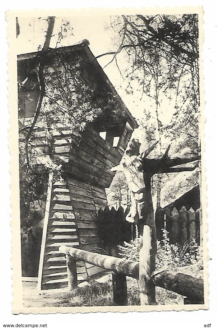 CPSM CAMP DE LA FRESNAYE, LA TOUR DU SANGLIER, TOURNEPPE, SCOUTS CATHOLIQUES, 9 Cm Sur 14 Cm Environ, BEERSEL, BELGIQUE - Beersel