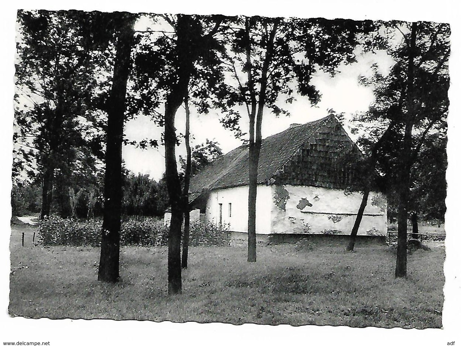 CPSM KEERBERGEN, UNE MASURE, BELGIQUE - Keerbergen