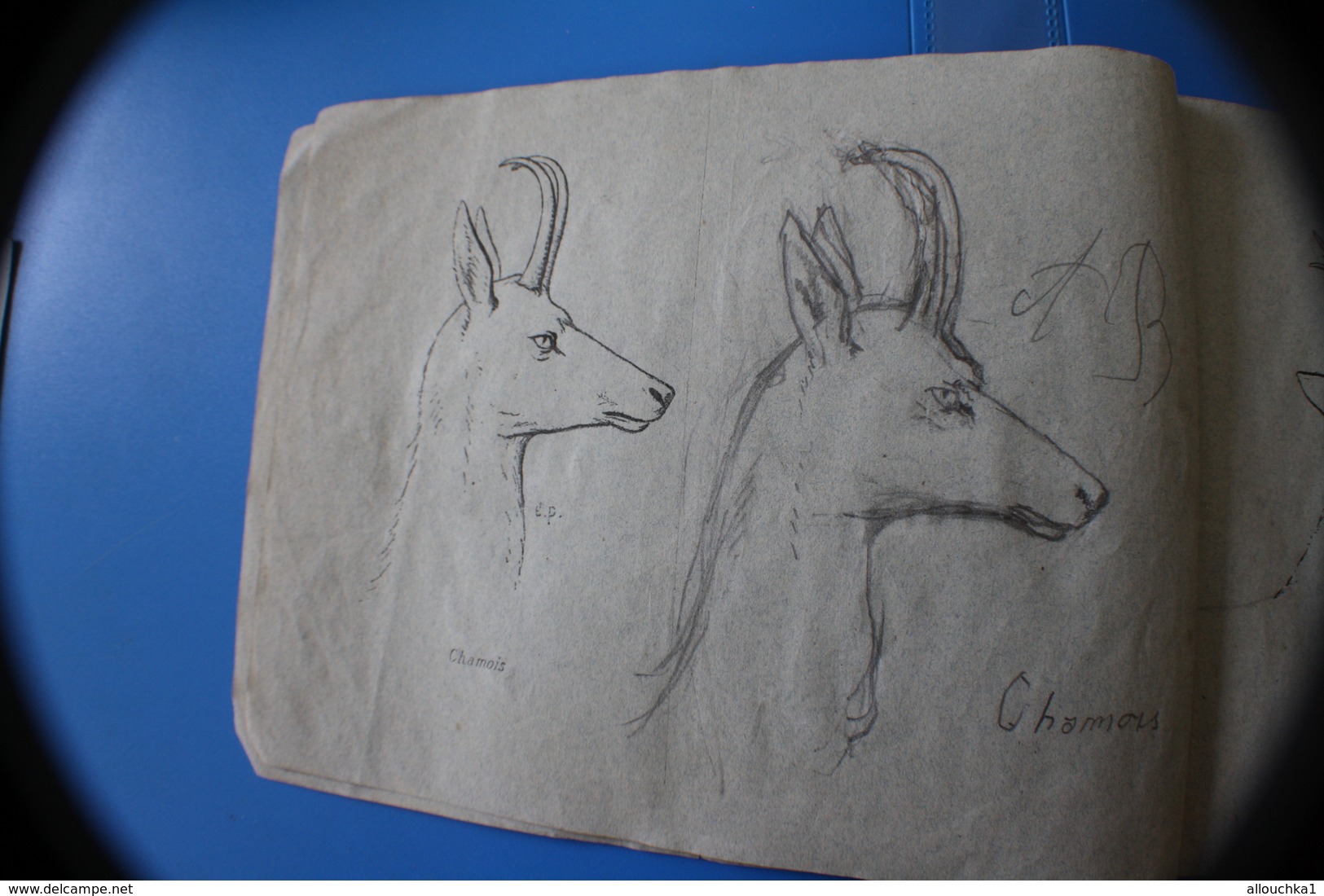 MONIEUX 84-1870 TRÈS ANCIEN CAHIER DE DESSIN MODÈLES A DESSINER-BICHE-RHINO-OURS-CHAMOIS-CHEVREUIL-LOUP-GIRAFE-CERF-LION - Otros & Sin Clasificación