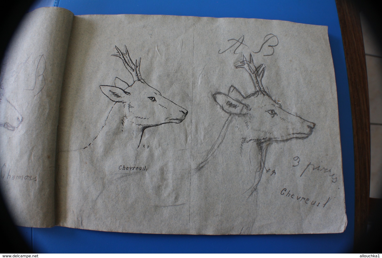 MONIEUX 84-1870 TRÈS ANCIEN CAHIER DE DESSIN MODÈLES A DESSINER-BICHE-RHINO-OURS-CHAMOIS-CHEVREUIL-LOUP-GIRAFE-CERF-LION - Otros & Sin Clasificación