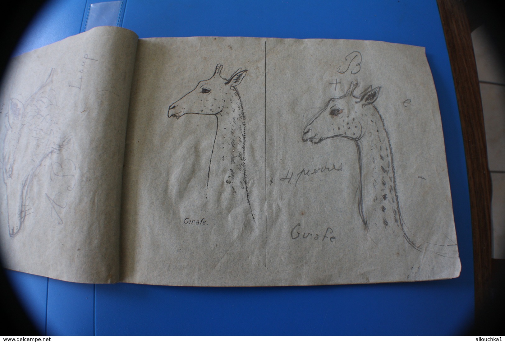 MONIEUX 84-1870 TRÈS ANCIEN CAHIER DE DESSIN MODÈLES A DESSINER-BICHE-RHINO-OURS-CHAMOIS-CHEVREUIL-LOUP-GIRAFE-CERF-LION