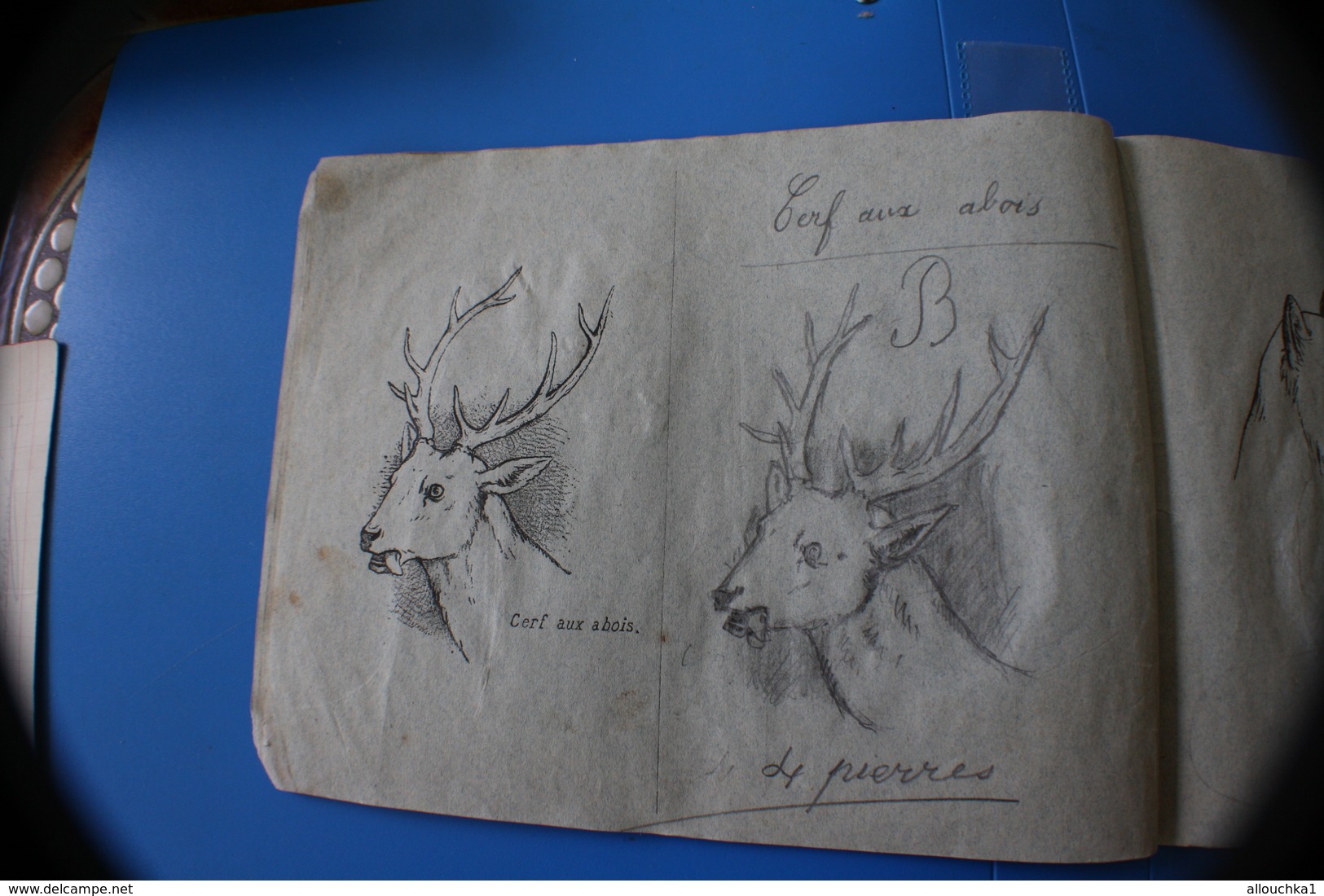 MONIEUX 84-1870 TRÈS ANCIEN CAHIER DE DESSIN MODÈLES A DESSINER-BICHE-RHINO-OURS-CHAMOIS-CHEVREUIL-LOUP-GIRAFE-CERF-LION