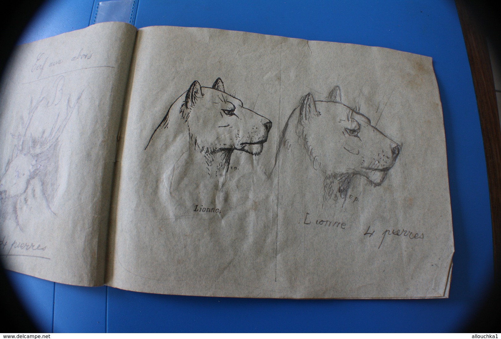 MONIEUX 84-1870 TRÈS ANCIEN CAHIER DE DESSIN MODÈLES A DESSINER-BICHE-RHINO-OURS-CHAMOIS-CHEVREUIL-LOUP-GIRAFE-CERF-LION