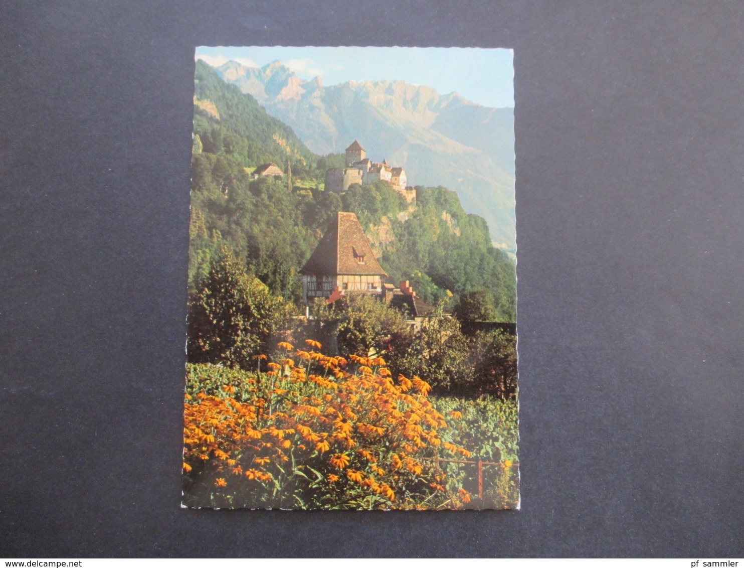 Liechtenstein 1960 Nr. 402 / 403 Fürstenpaar Auf Blanko PK Vaduz Schloß Gegen Rappenstein Und Falknis - Covers & Documents