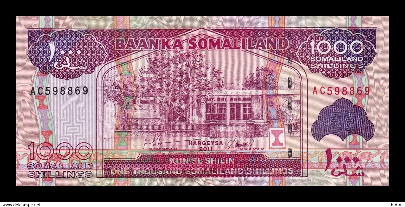 Somalilandia Somaliland 1000 Shillings 2011 Pick 20a SC UNC - Sonstige – Afrika