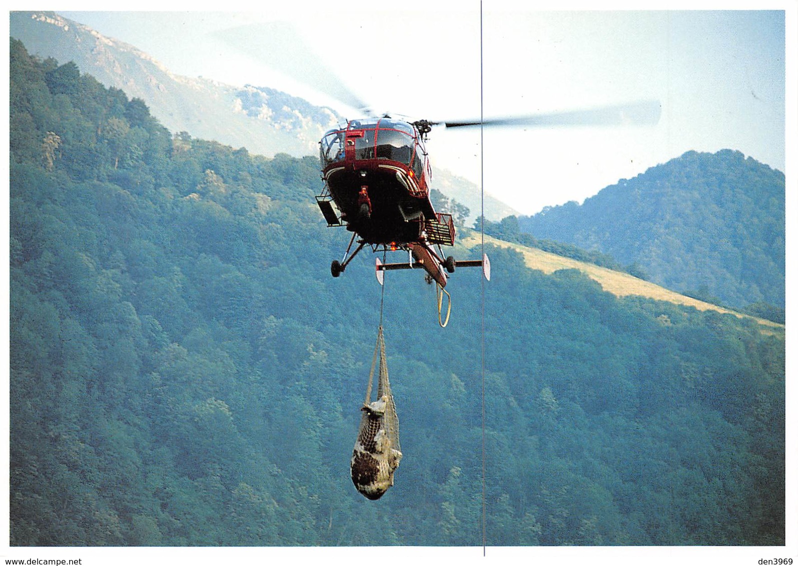 SARRANCE - Les Sapeurs-Pompiers - Sauvetage D'une Vache En Montagne Par Hélicoptère - Photo Jean-Marc Durand - TL 300 Ex - Otros & Sin Clasificación