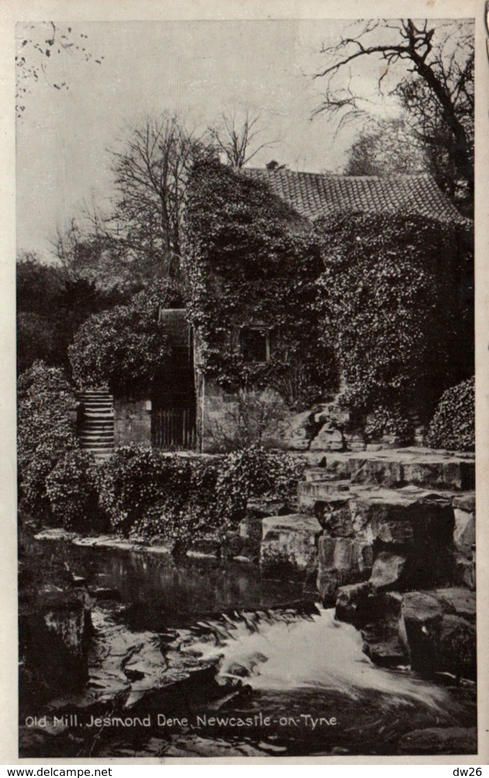 Old Mill Jesmond Dene, Newcastle On Tyne (Vieux Moulin) Carte Non Circulée - Newcastle-upon-Tyne