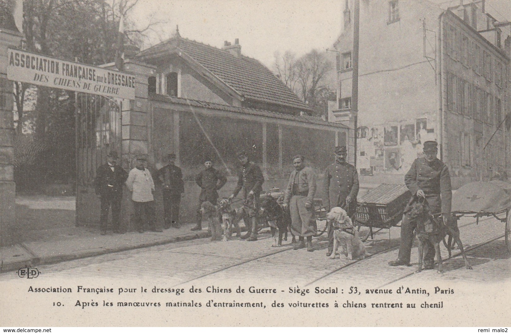 CARTE POSTALE  Après Les Manoeuvres Des Voiturettes à Chiens Rentrent Au Chenil - Guerra 1914-18