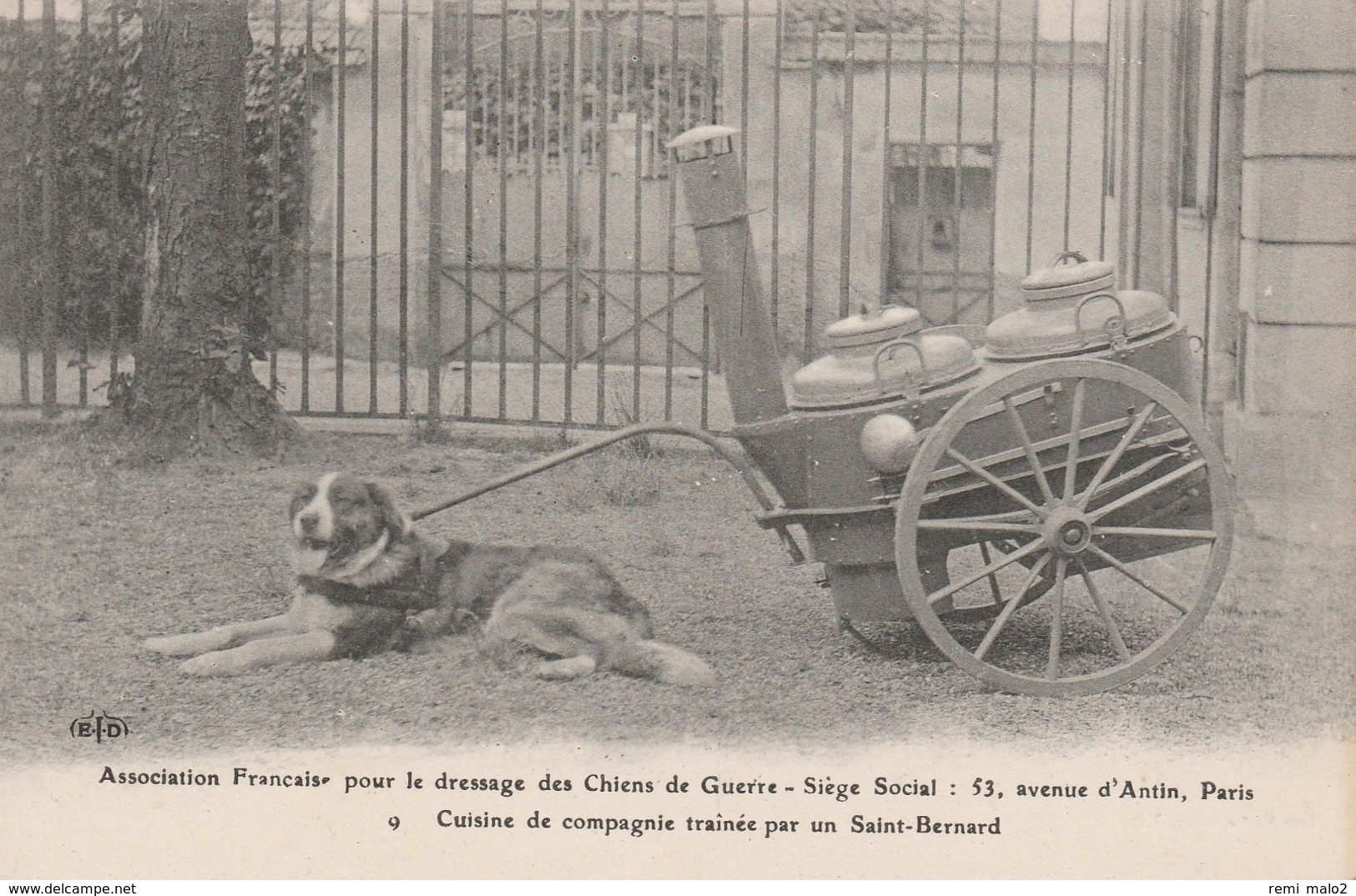 CARTE POSTALE  Cuisine De Compagnie Traînée Par Un Saint Bernard - Guerra 1914-18