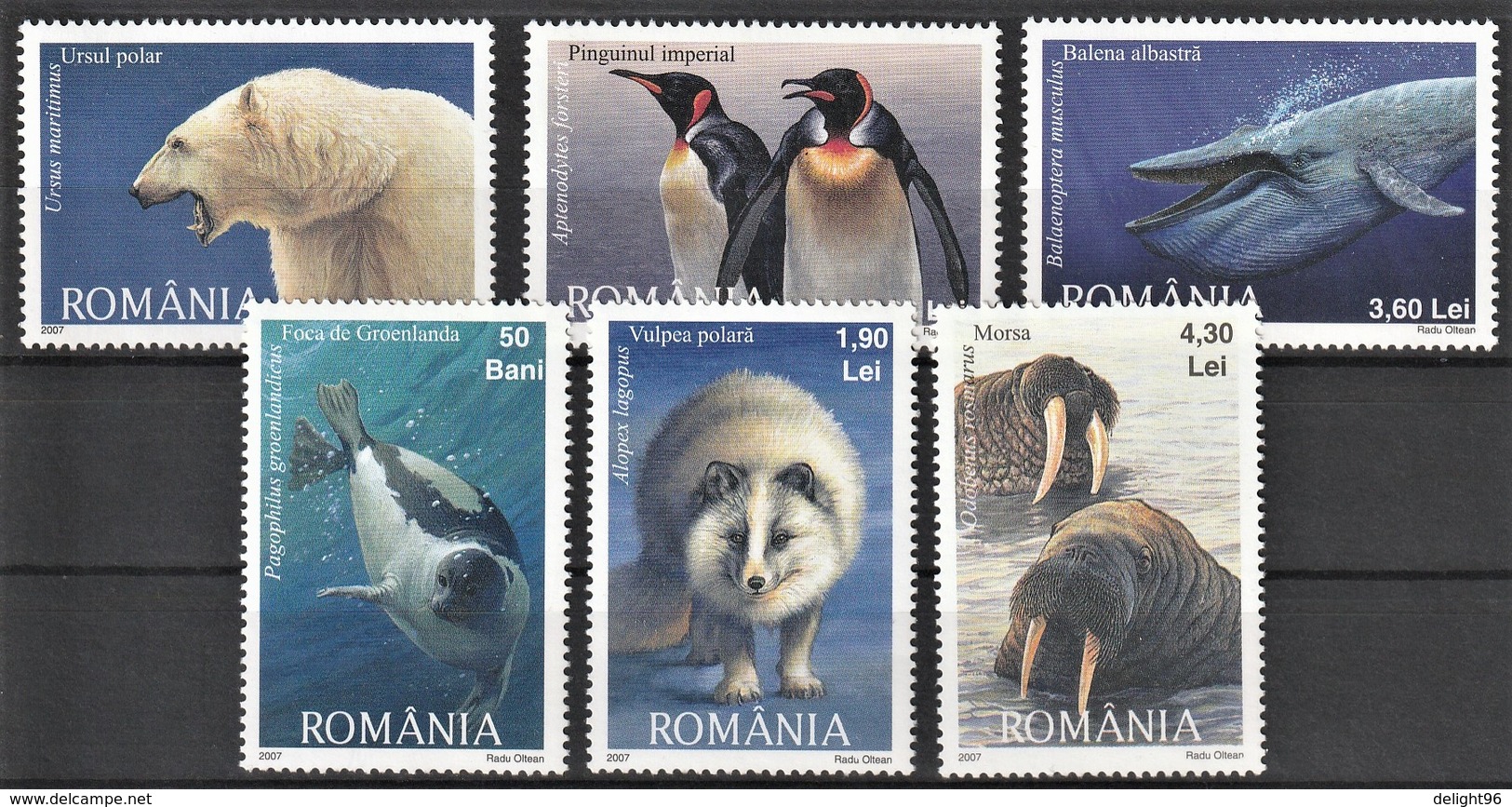 2007 Romania Polar Wildlife: Polar Bear, Harp Seal, Arctic Fox, King Penguin, Blue Whale, Walrus Set (** / MNH / UMM) - Faune Arctique