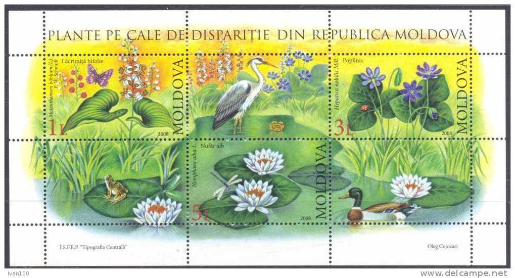 2008. Moldova, Wild Flowers, S/s, Mint/** - Moldova